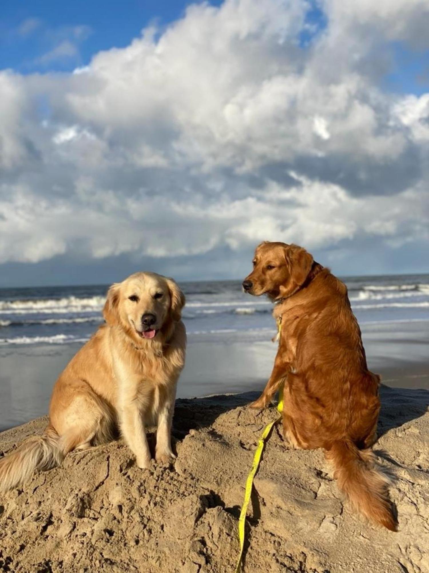 N 9Strandnahes, Hunde-Familienfreundliches Ferienhaus คัลลันท์สโอก ภายนอก รูปภาพ