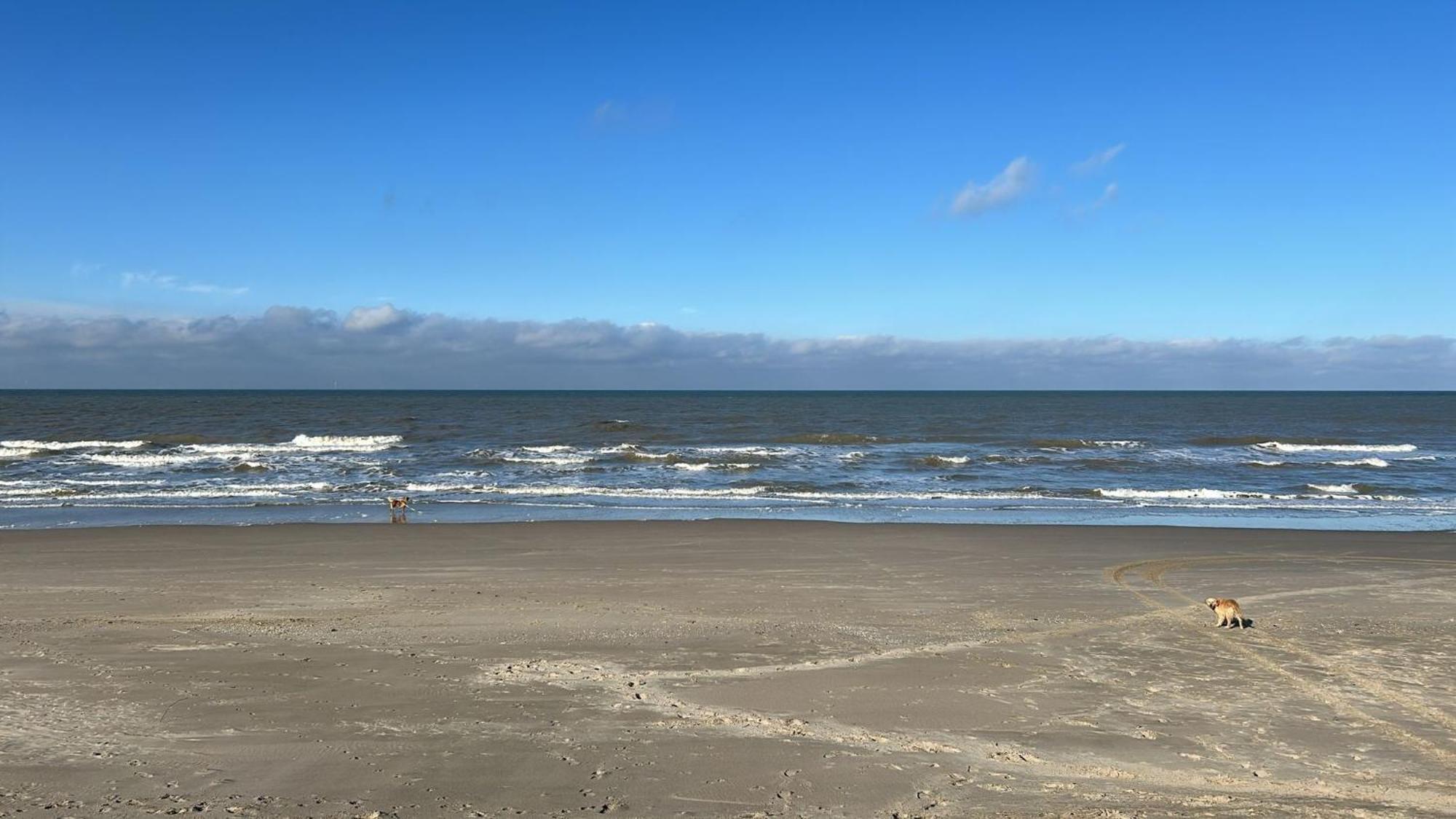 N 9Strandnahes, Hunde-Familienfreundliches Ferienhaus คัลลันท์สโอก ภายนอก รูปภาพ